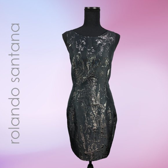 NWT Rolando Santana Gemma Geranium Dress Sz 8